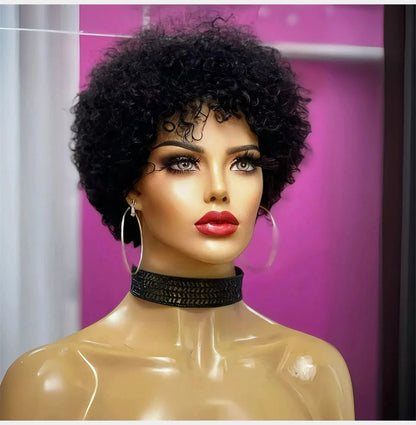 Large Bouncy Afro Kinky Curly Wigs For Black Women Glueless Pre Plucked Machine Made Wig Brazilian Virgin Remy Human Hair Wigs